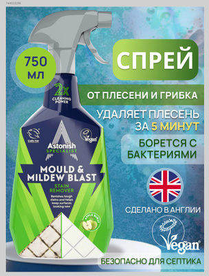 Mould&Mildew blaster